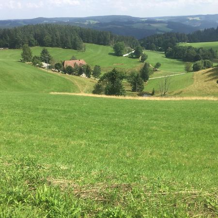 Schonach im SchwarzwaldIm Salzgassle公寓 外观 照片