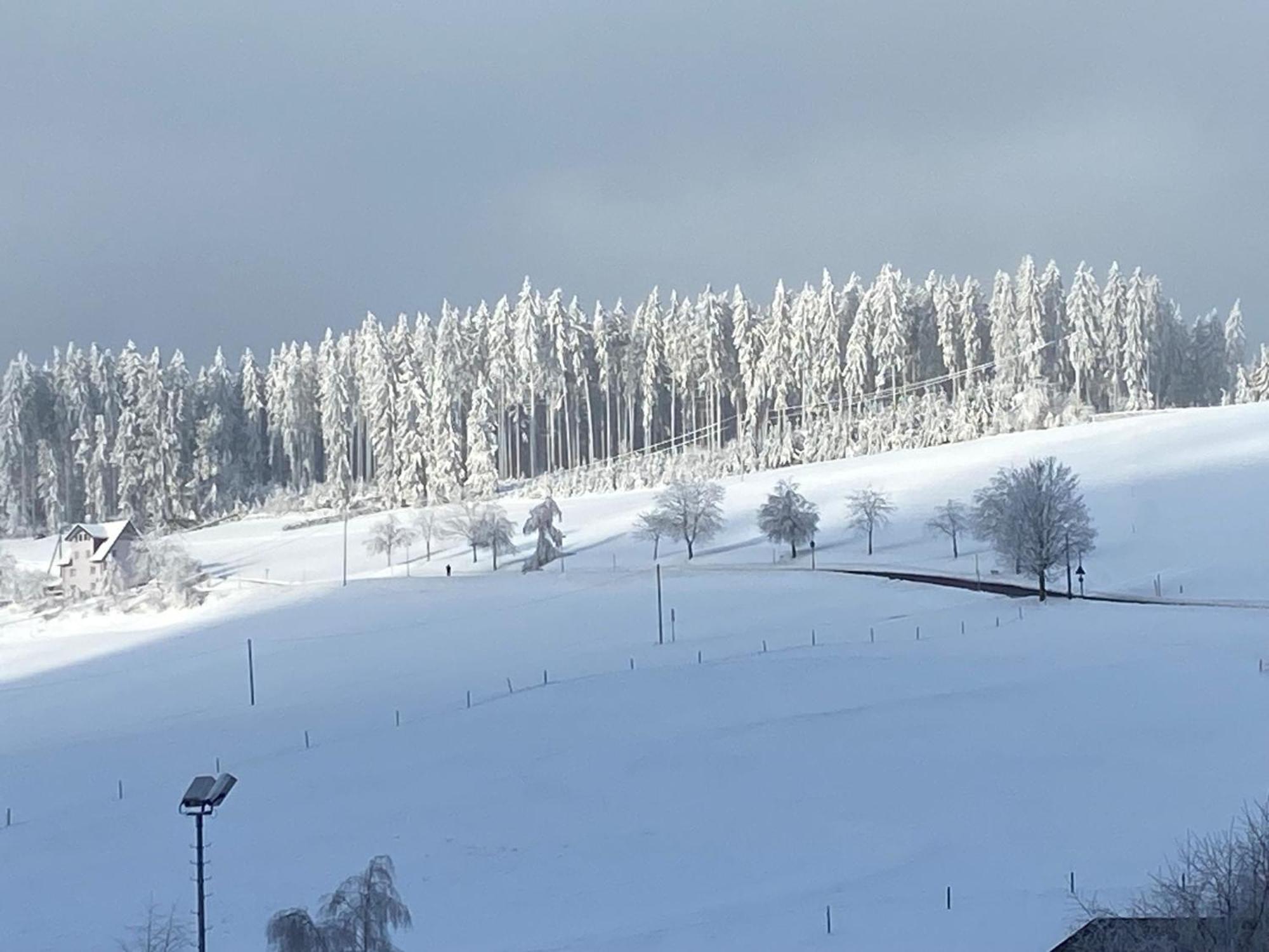 Schonach im SchwarzwaldIm Salzgassle公寓 外观 照片