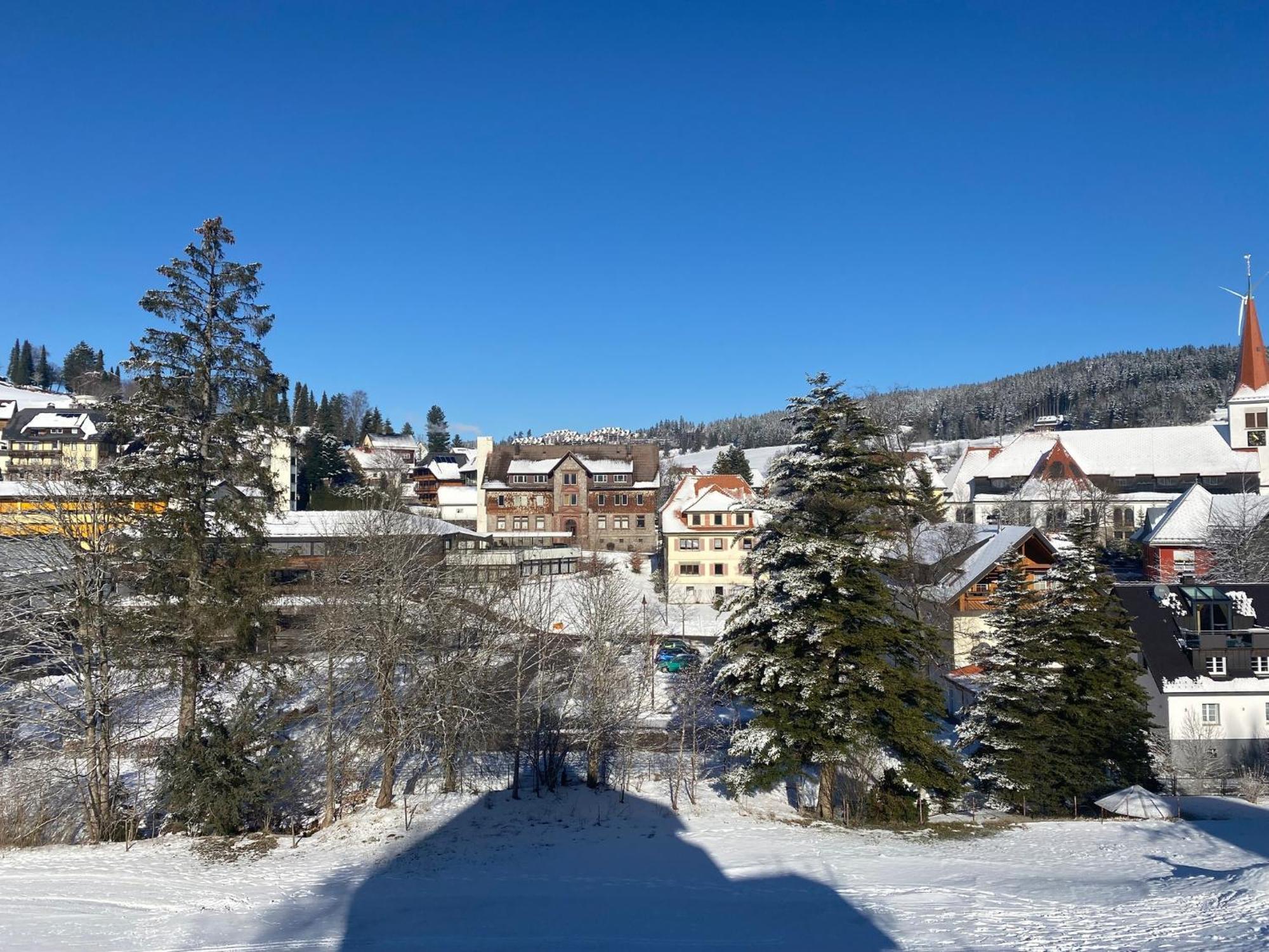 Schonach im SchwarzwaldIm Salzgassle公寓 外观 照片