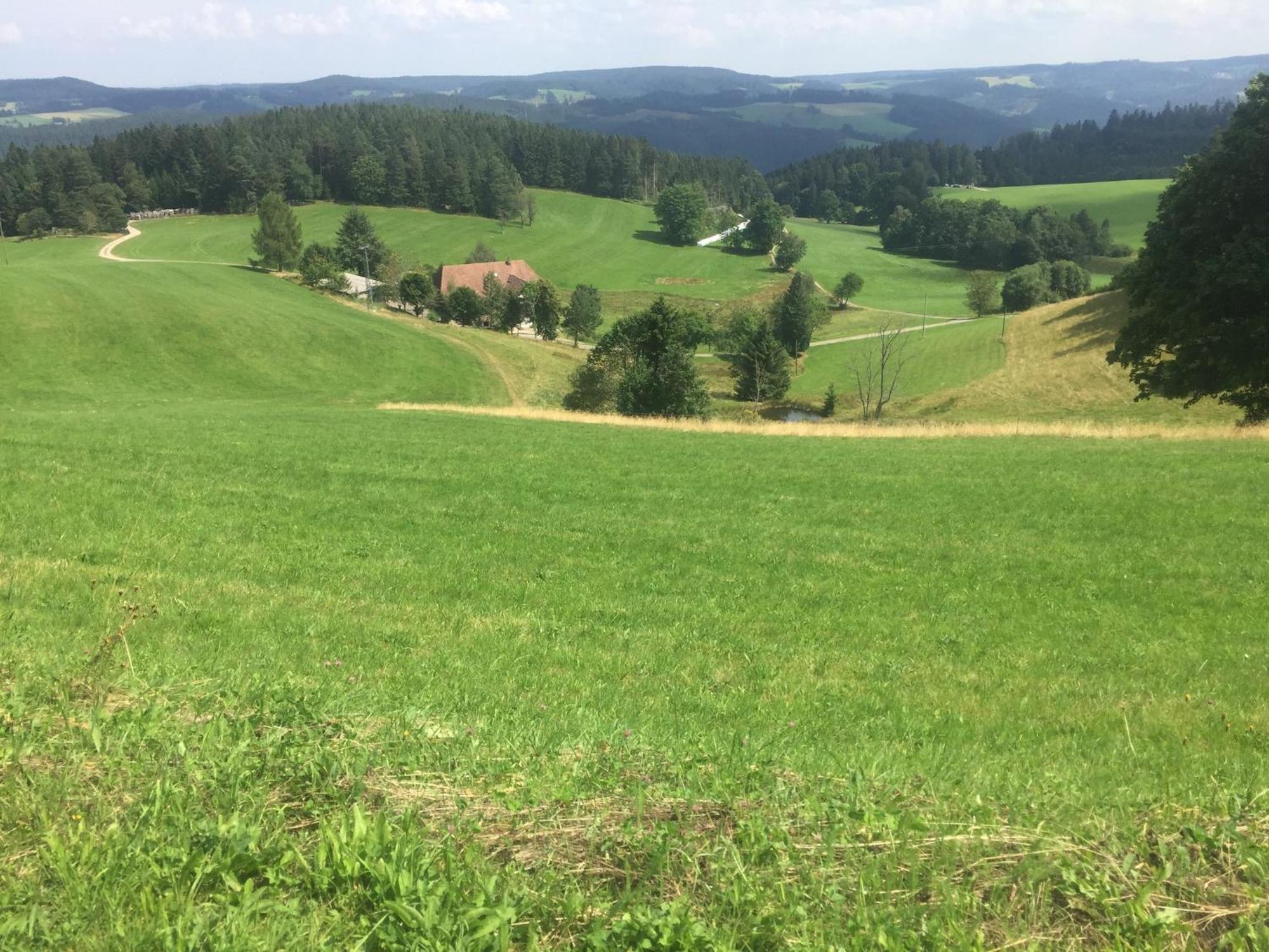 Schonach im SchwarzwaldIm Salzgassle公寓 外观 照片